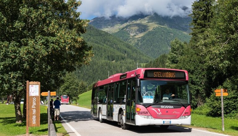 La gestione di una mobilità sostenibile